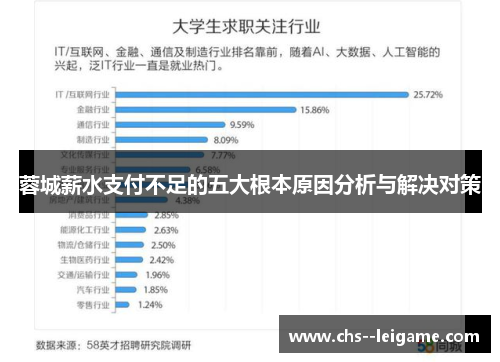 蓉城薪水支付不足的五大根本原因分析与解决对策