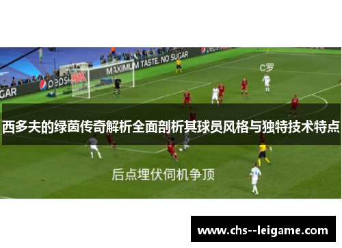 西多夫的绿茵传奇解析全面剖析其球员风格与独特技术特点